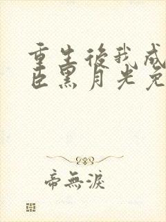 重生后我成了奸臣黑月光免费阅读