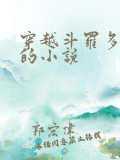 穿越斗罗多女主的小说