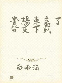 贵阳车来了实时公交下载