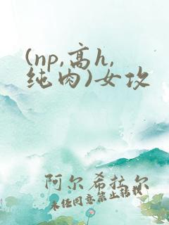 (np,高h,纯肉)女攻