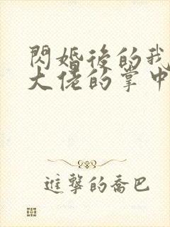 闪婚后的我成了大佬的掌中之物