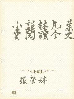 小说林凡叶惜免费阅读全文