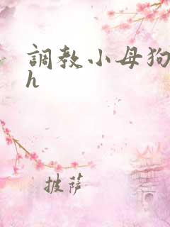 调教小母狗小说h