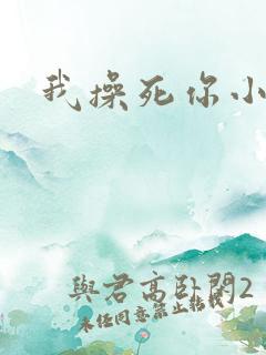 我操死你小骚货