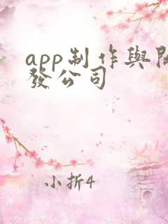 app制作与开发公司