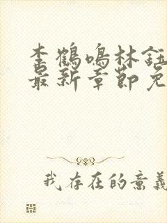 李鹤鸣林钰小说最新章节免费阅读