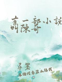 有一部小说主角叫陈奇 有一部小说主角叫陈奇