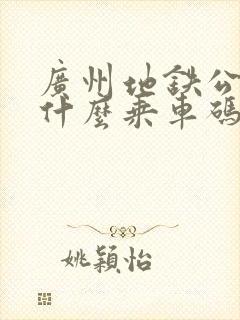 广州地铁公交用什么乘车码