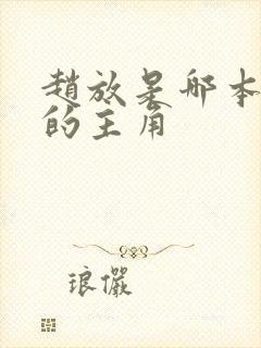 赵放是哪本小说的主角