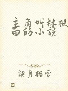主角叫林枫苏慕白的小说