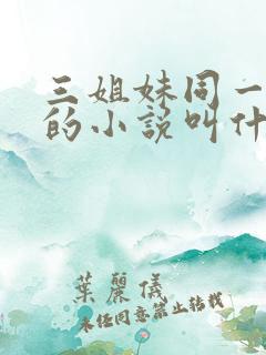 三姐妹同一丈夫的小说叫什么