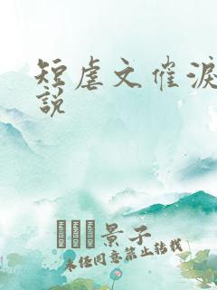 短虐文催泪的小说