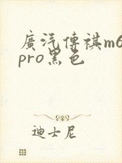 广汽传祺m6 pro黑色