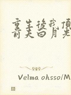 重生后我顶替了前夫白月光纪琛