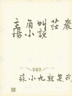 主角叫庄岩的官场小说