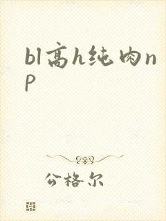 bl高h纯肉np