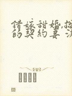 错嫁甜婚,总裁的契约妻 淇沅