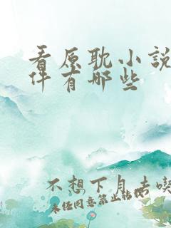 看原耽小说的软件有哪些