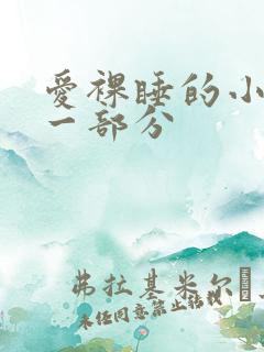 爱裸睡的小丹第一部分