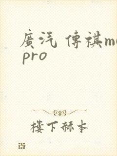 广汽 传祺m6 pro