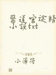 医道官途精校版小说txt