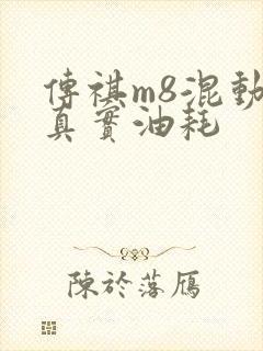 传祺m8混动版真实油耗