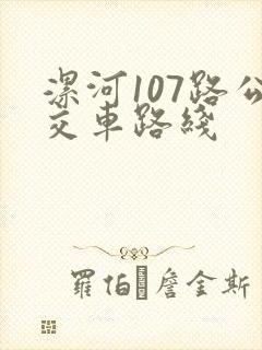 漯河107路公交车路线