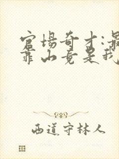 官场奇才:最强靠山竟是我自己李澜小说阅