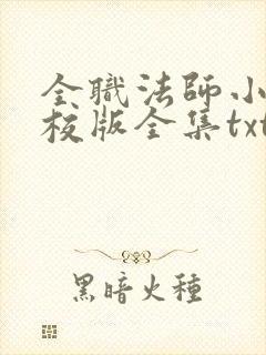 全职法师小说精校版全集txt