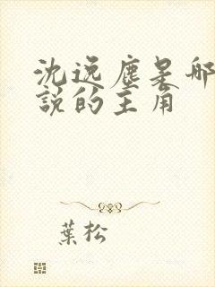 沈逸尘是哪本小说的主角