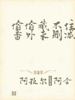 偷偷藏不住新婚番外未删减txt