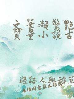 文笔超惊艳的高质量小说古代言情