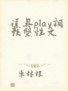 道具play调教双性文