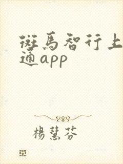 斑马智行上汽大通app