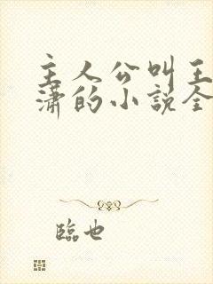 主人公叫王东唐潇的小说全文免费阅读笔趣阁