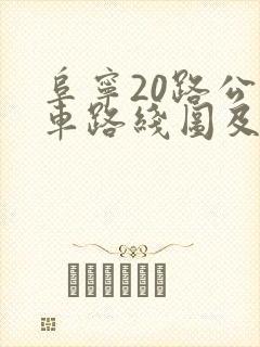 阜宁20路公交车路线图及时间