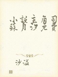 小说主角司空靖苏月汐免费阅读 小说主角司空靖苏月汐免费阅读