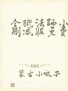 全职法师小说无删减版免费阅读