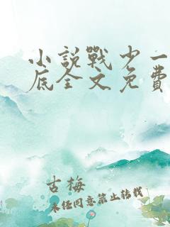 小说战少一宠到底全文免费阅读