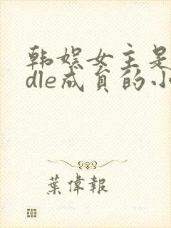 韩娱女主是gidle成员的小说
