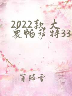 2022款 大众帕萨特330tsi 星空豪华版