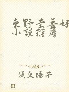 东野圭吾好看的小说推荐