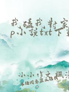 我磕我对家的cp小说txt下载