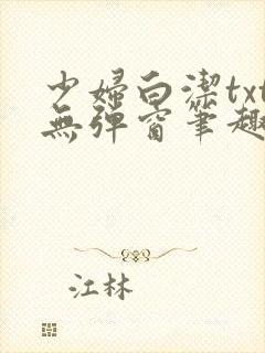 少妇白洁txt无弹窗笔趣阁