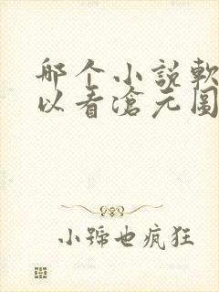 哪个小说软件可以看沧元图