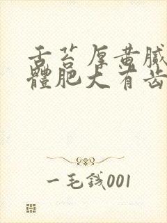舌苔厚黄腻臭舌体肥大有齿痕