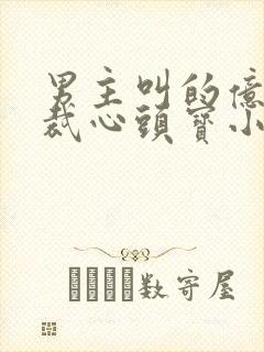 男主叫的亿万总裁心头宝小说