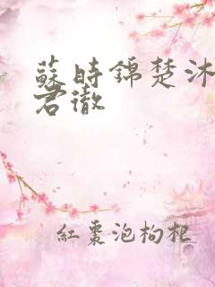 苏时锦楚沐尘楚君彻