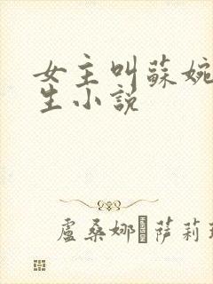 女主叫苏婉的重生小说