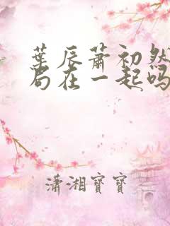 叶辰萧初然大结局在一起吗